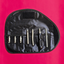 Equine Dental Teeth Elevator Burgess Set