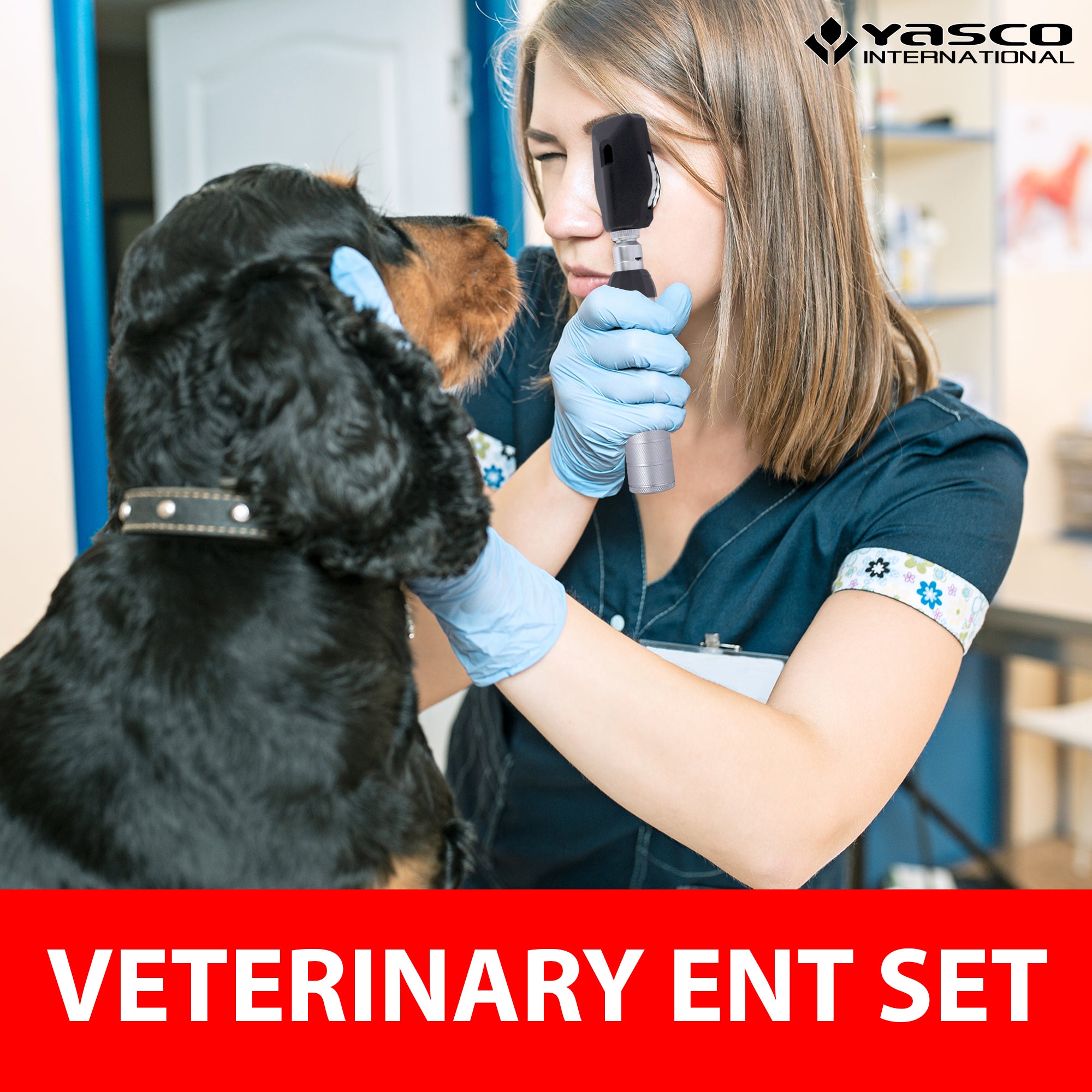 Veterinary Otoscope & Ophthalmoscope Diagnostic Set