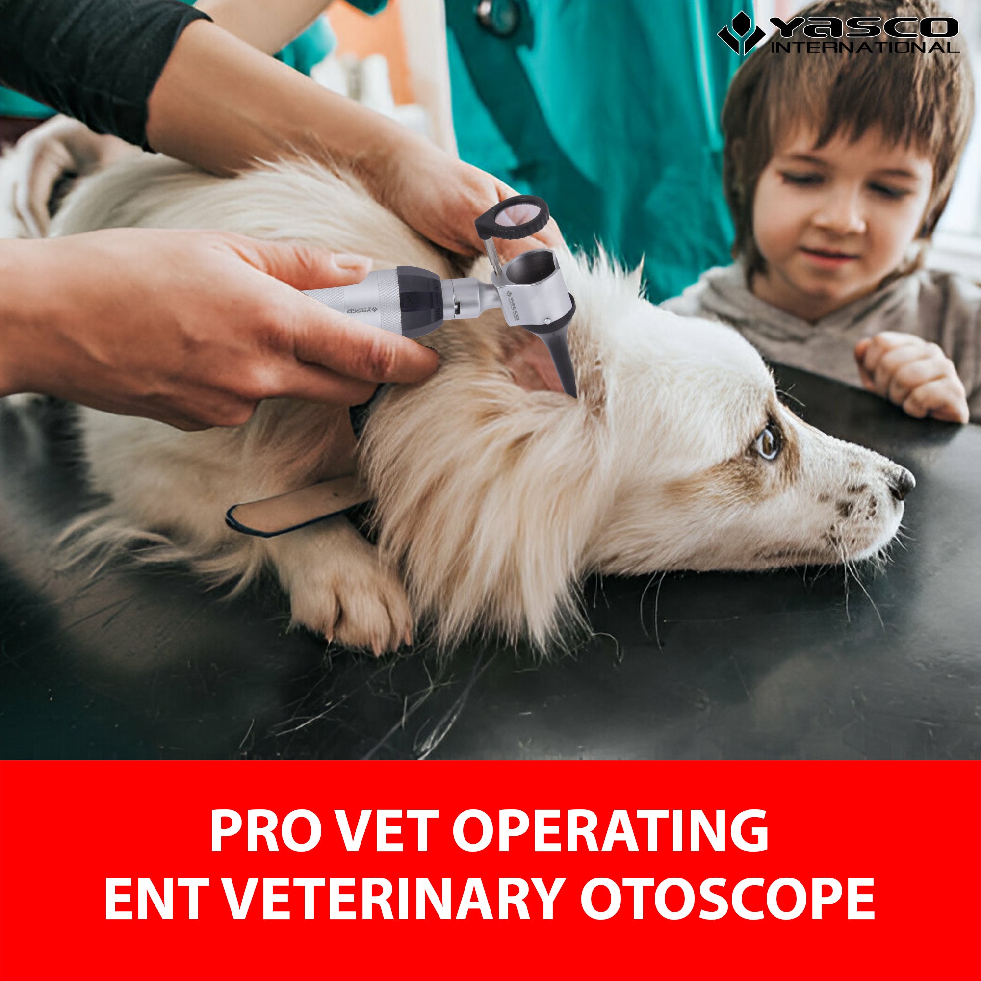 Veterinary Procedure Otoscope Set
