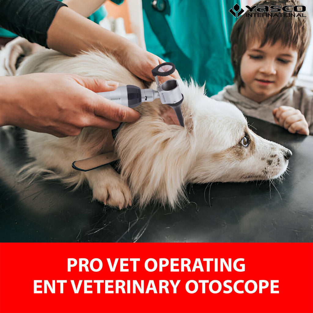 Veterinary Procedure Otoscope Set