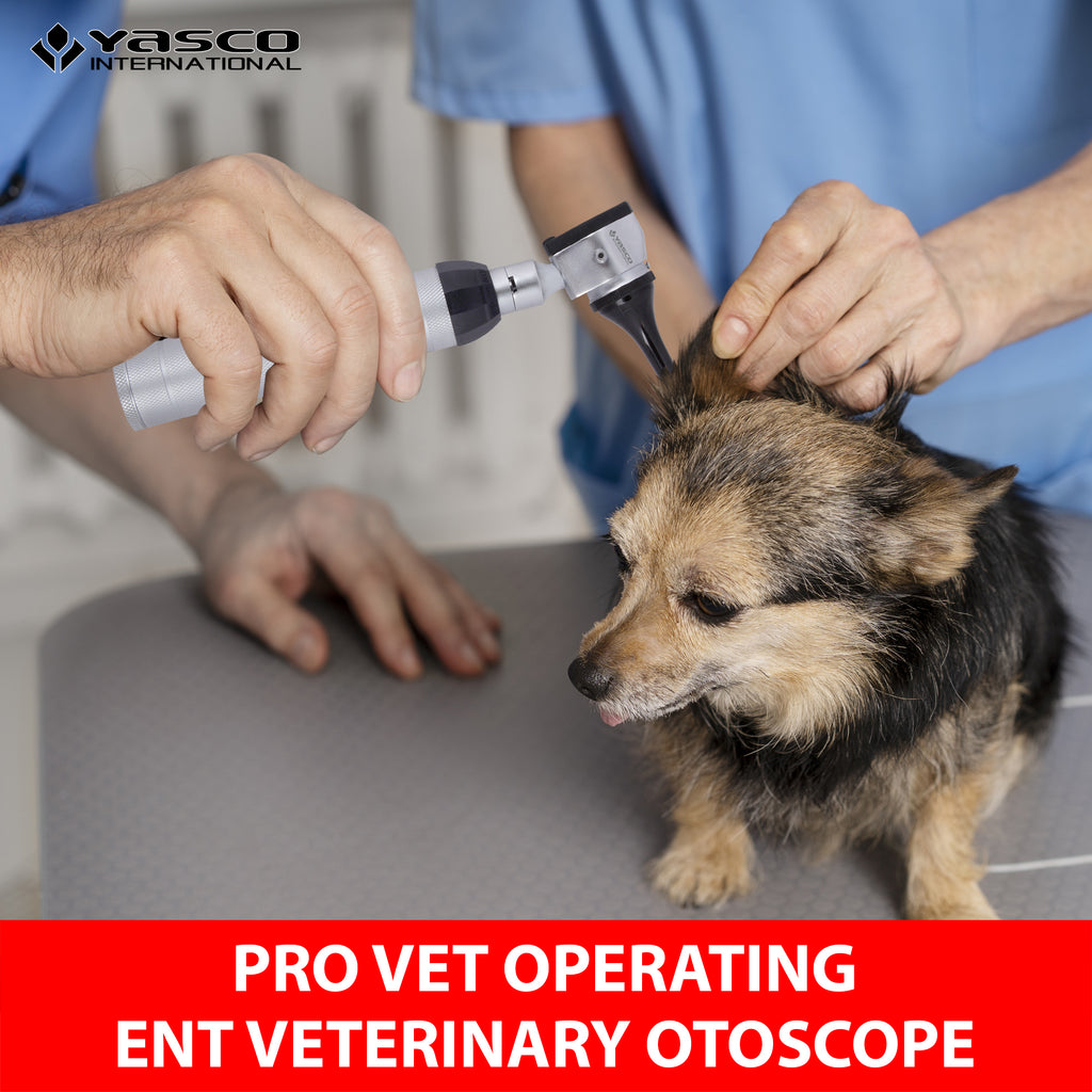 Veterinary Otoscope Set