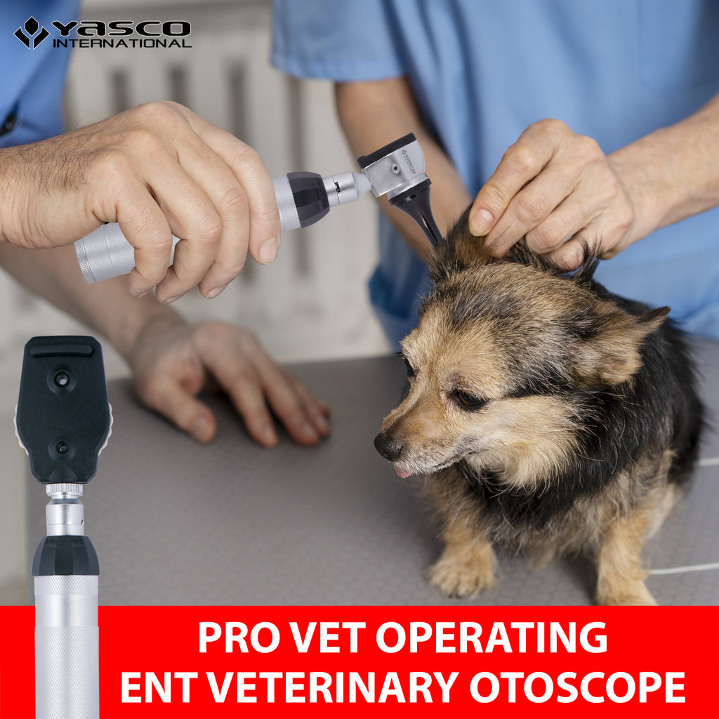 Veterinary Otoscope & Ophthalmoscope Diagnostic Set