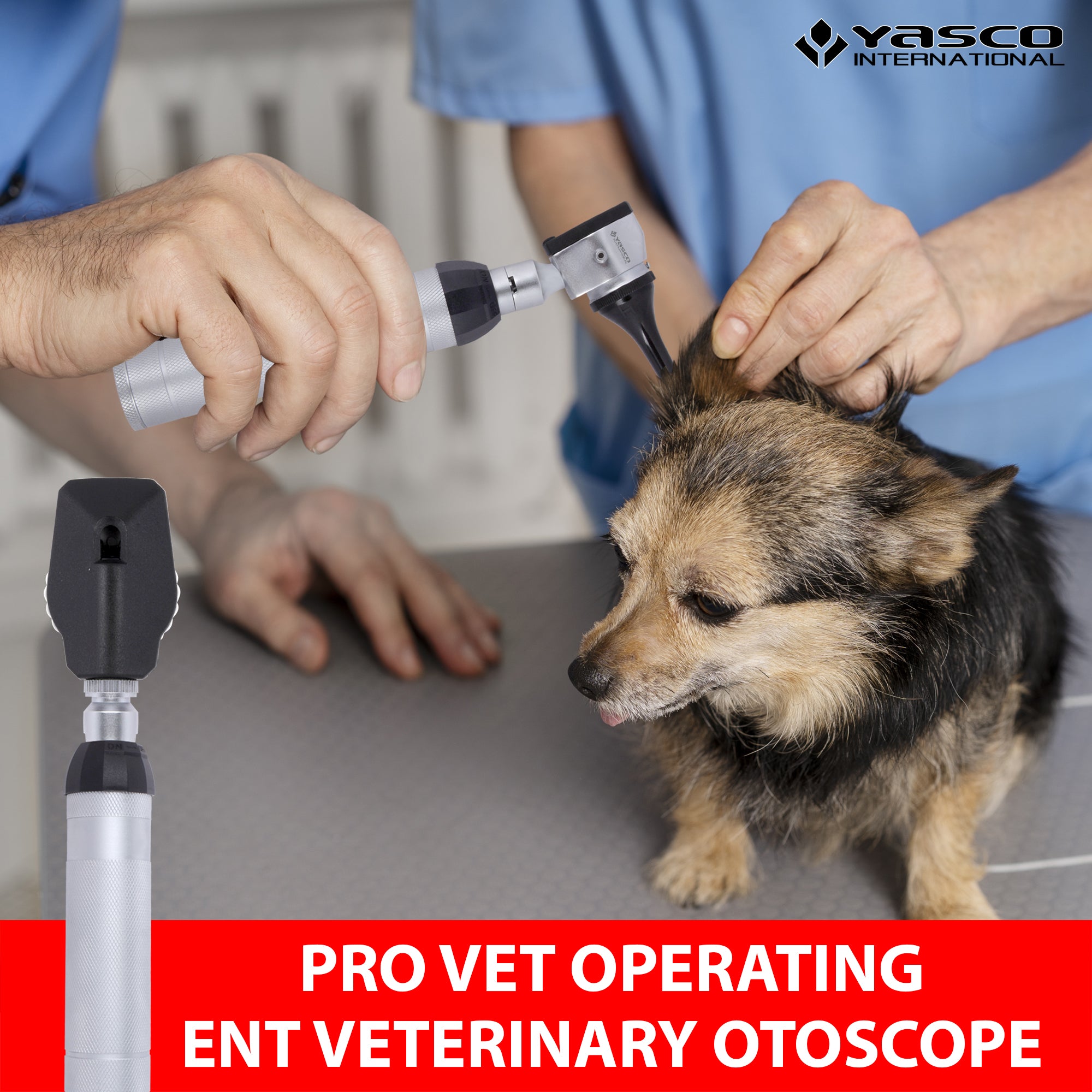 Veterinary Ophthalmoscope & Otoscope Diagnostic Set