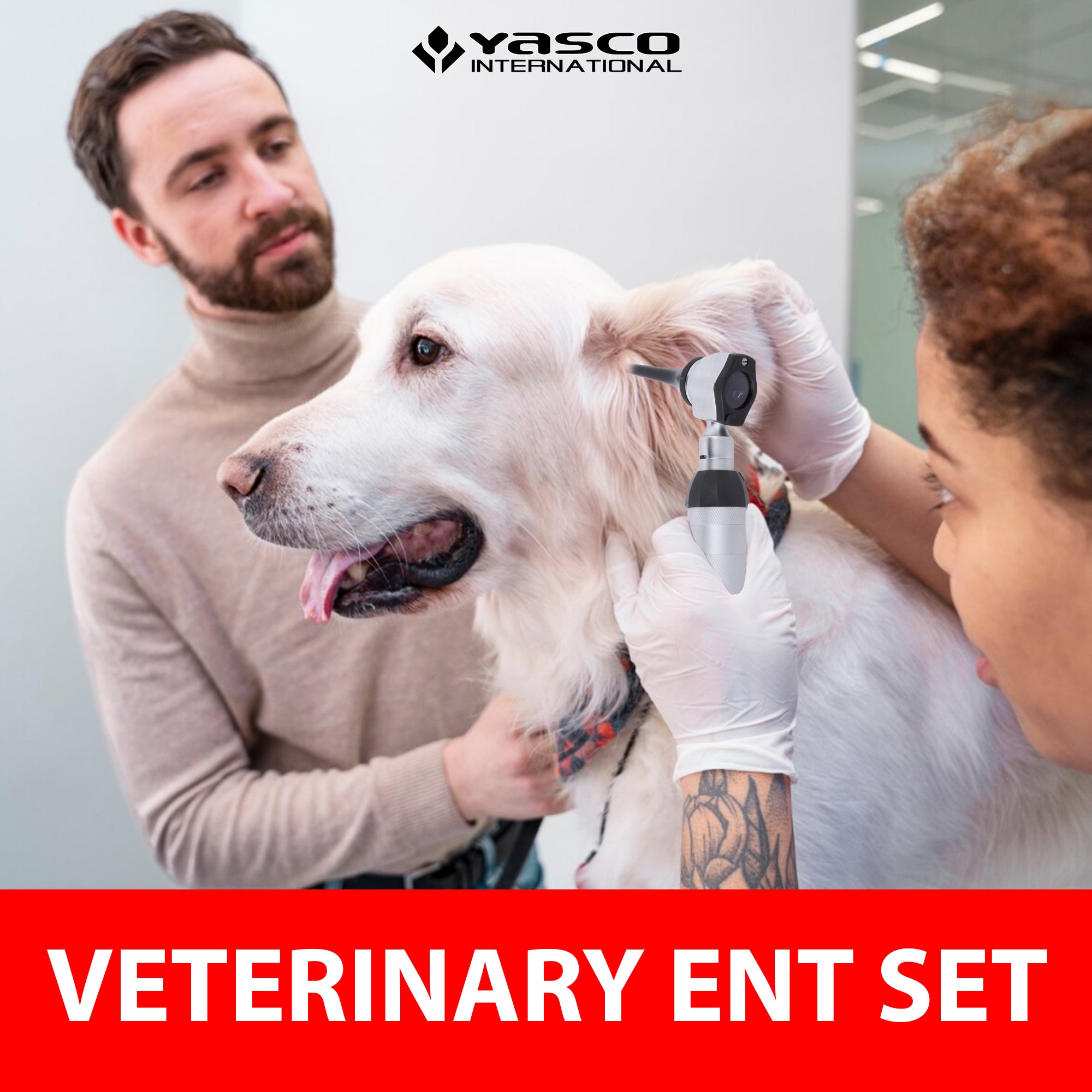 Veterinary Otoscope Set