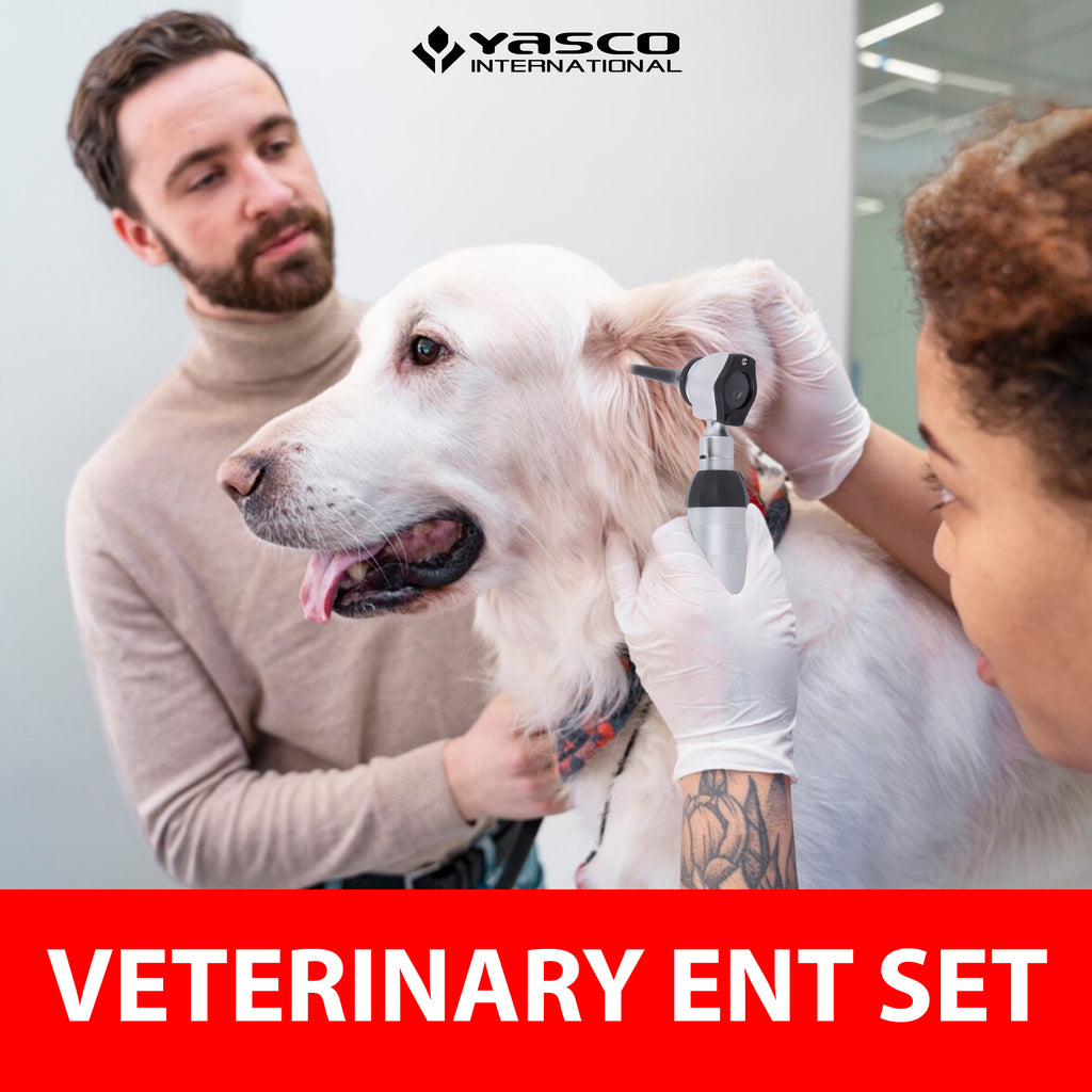 Veterinary Otoscope Set