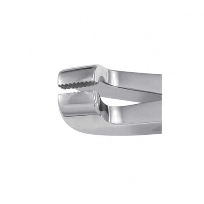 Premium Reynolds Cap Forceps Lower Jaw 15" Secondary image
