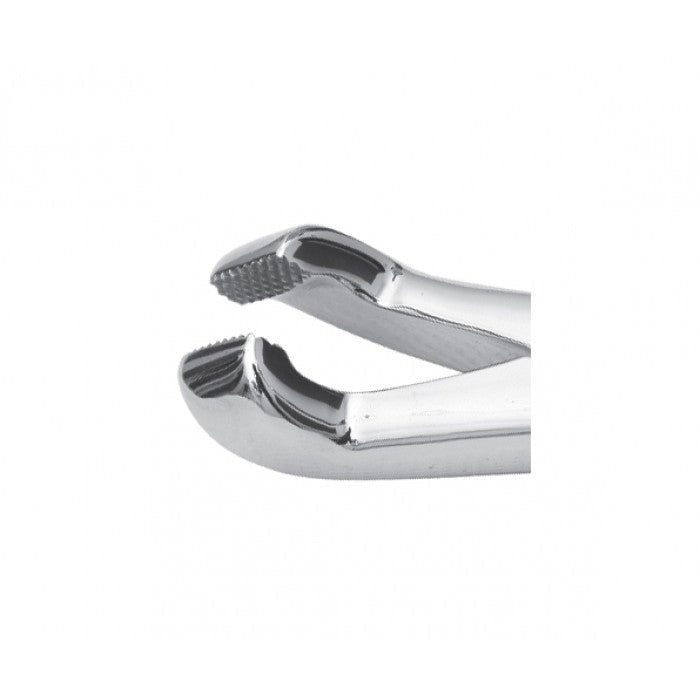 Premium Reynolds Universal Cap Forceps 15" Secondary image