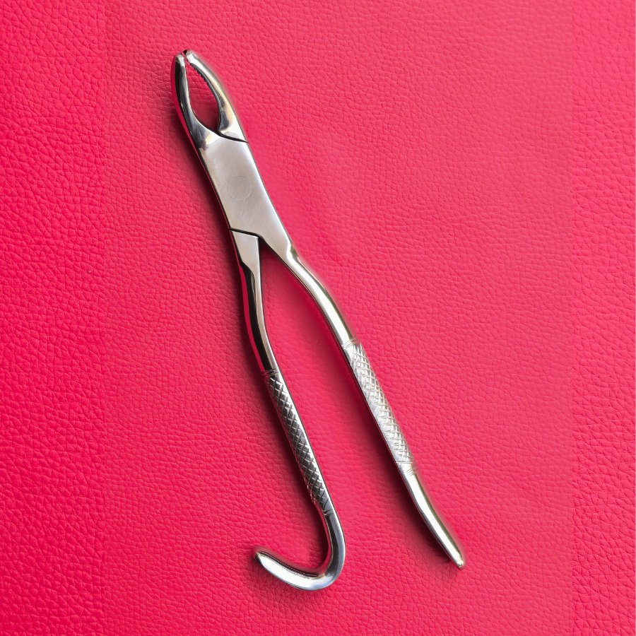 Wolf Tooth Forceps 9.5"