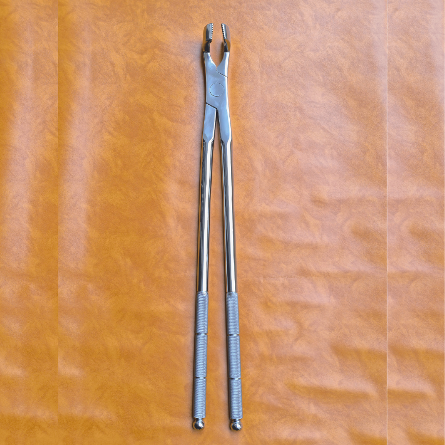 Molar Equine Dental Forceps 21" Main image