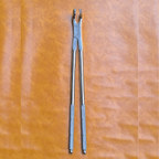 Molar Equine Dental Forceps 21"