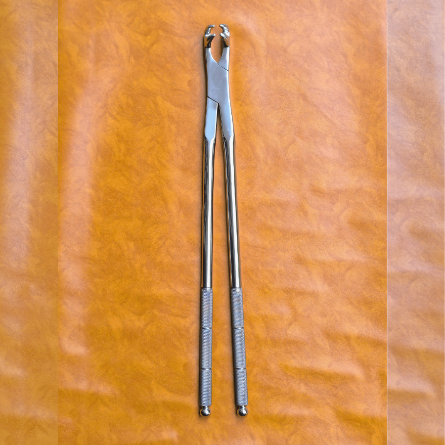 Four Prong 21" Equine Dental Forceps