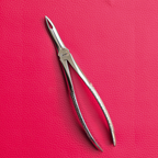 Narrow Jaw Extraction Forceps 7.5"