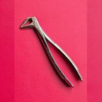 Turned Head Beak Extraction Forceps 6″
