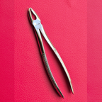 Curved Small Forceps 7″