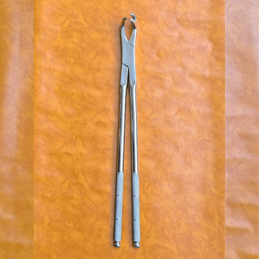 Three Prong Off Side 21" Equine Dental Forceps