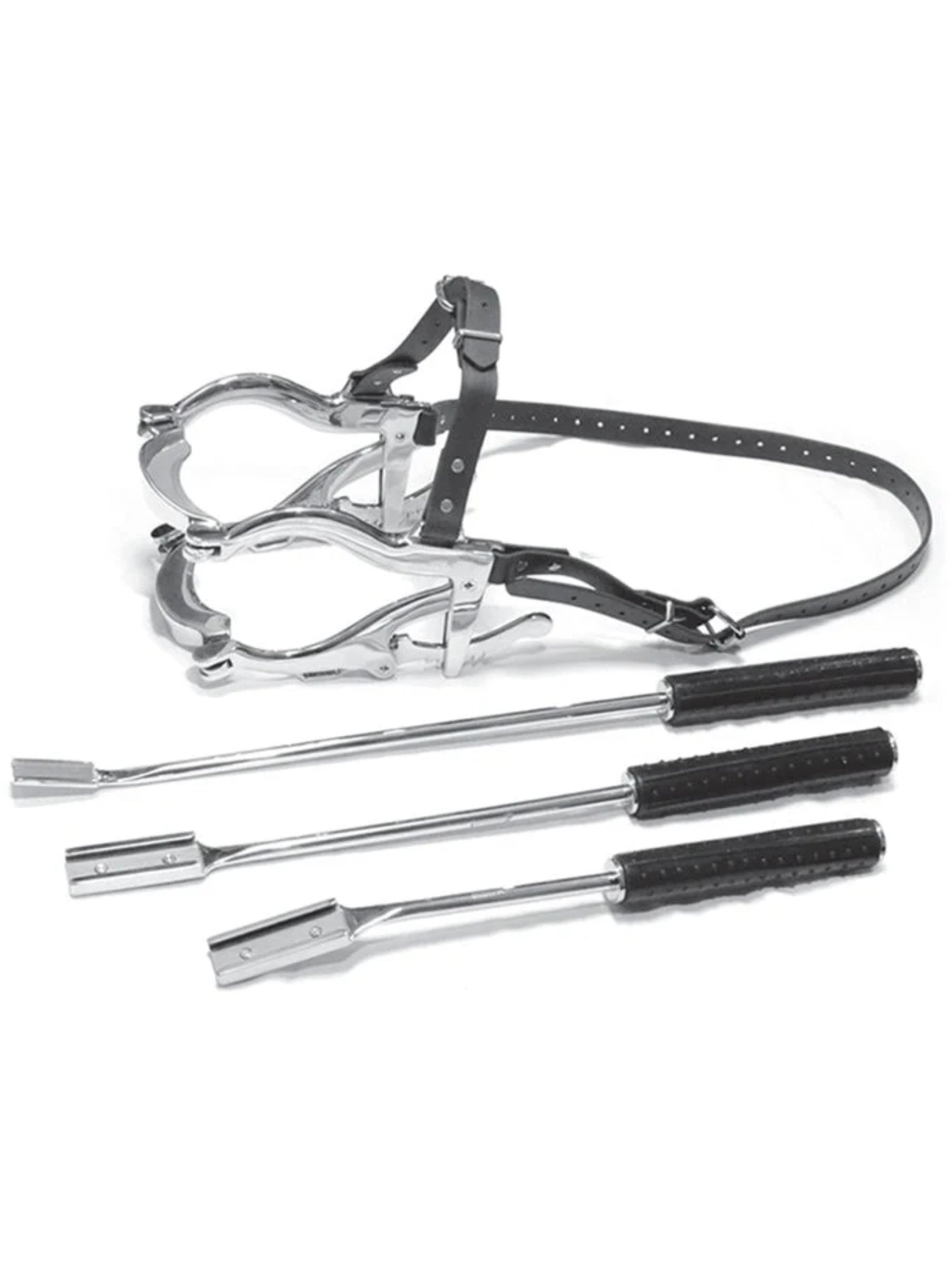Equine Dental Kit (Basic) Main image