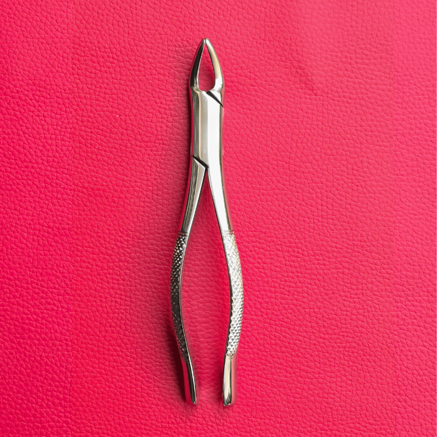 Curved Incisor Tooth Forceps 7″