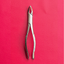 Curved Incisor Tooth Forceps 7″