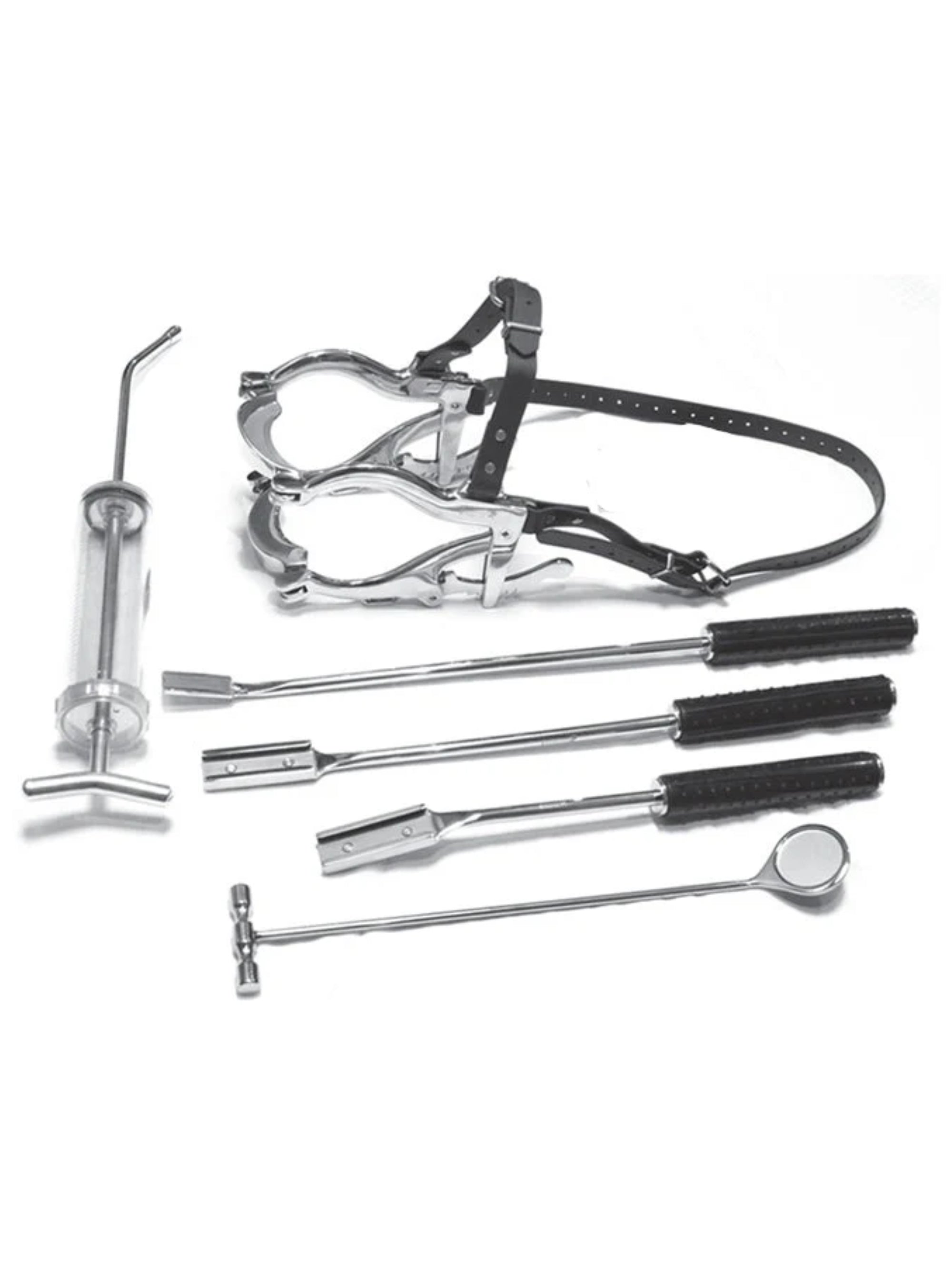 Equine Dental Kit (Complete)