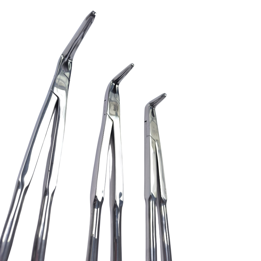 Long Nose Fragment 19" Equine Dental Forceps
