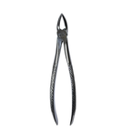 Dental Extraction Curved Forceps 7"