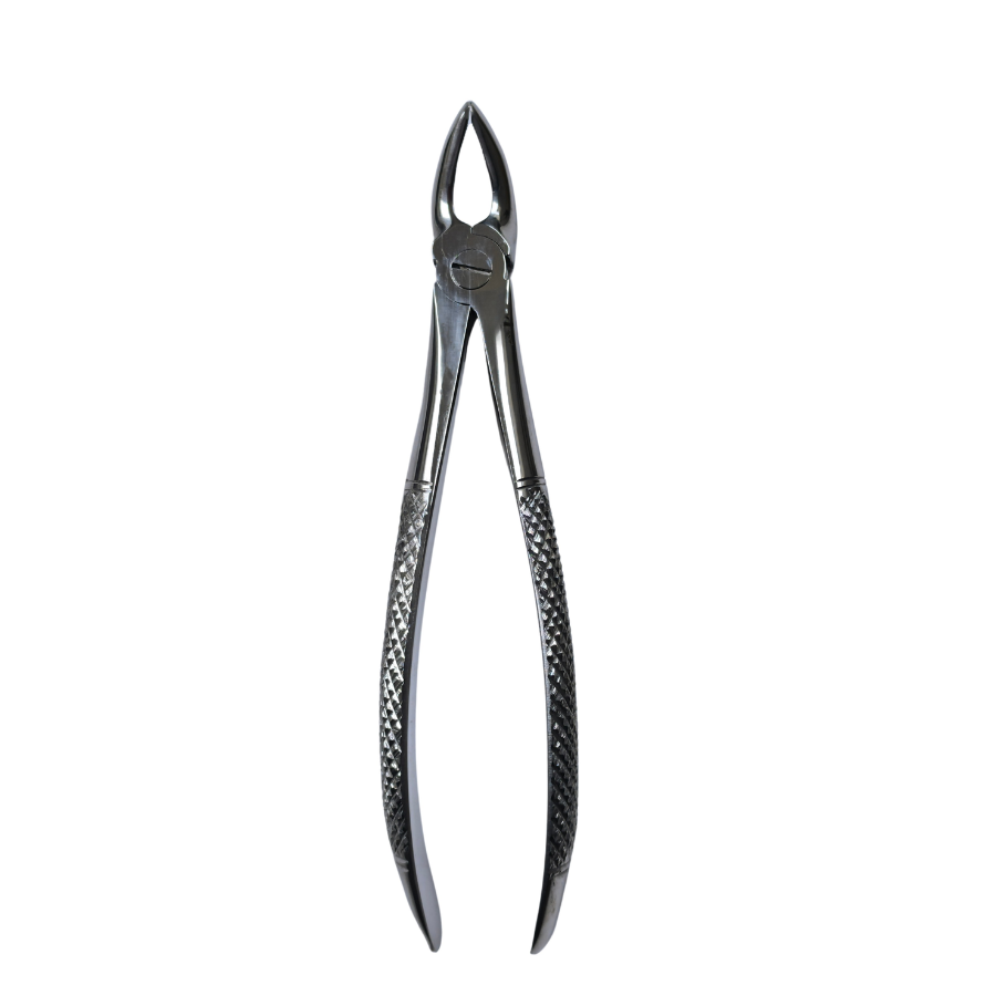 Dental Extraction Curved Forceps 7"