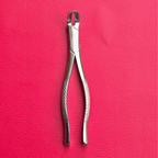 Wolf Incisor Tooth Spreader Forceps