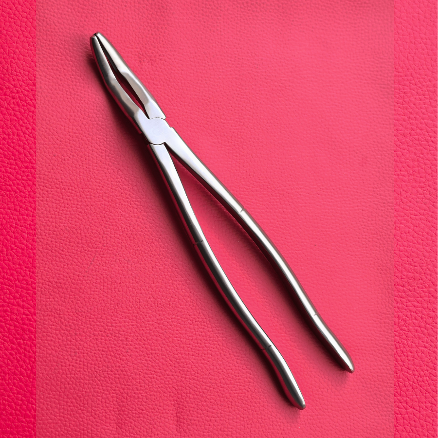 Wolf Teeth Forceps Large