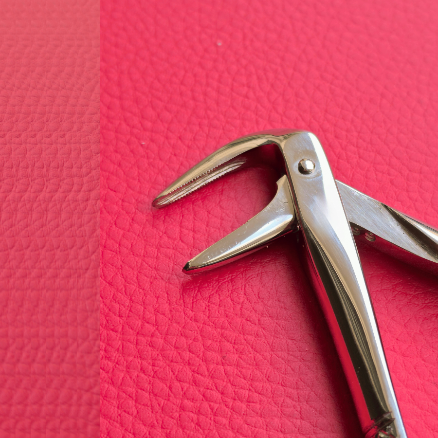 Turned Head Beak Extraction Forceps 6″ Secondary image