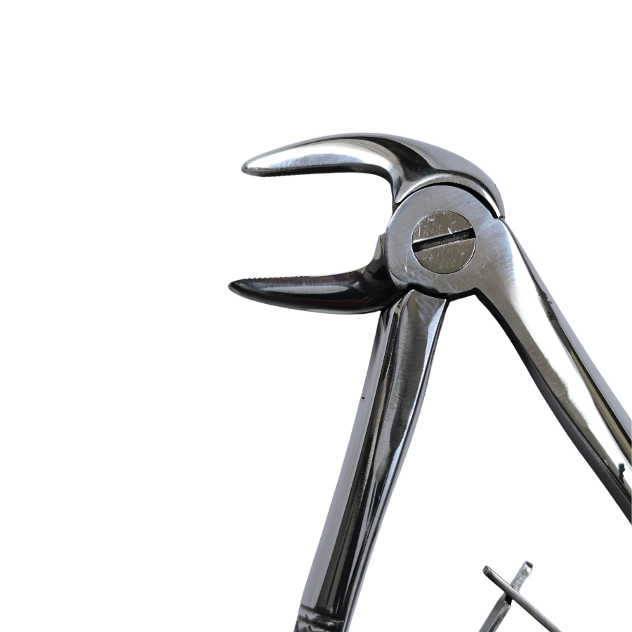 Dental Extraction 90° Curved Forceps 6" (Closed) Secondary image