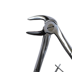Dental Extraction 90° Curved Forceps 6" (Closed)