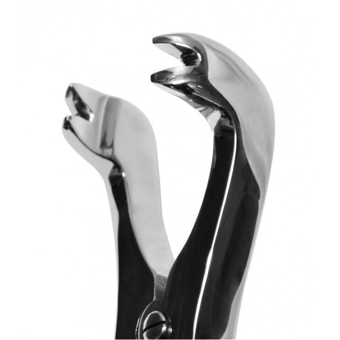 Efficient 12″ Four Prong Compound Cap Forceps for Dental Procedures Secondary image
