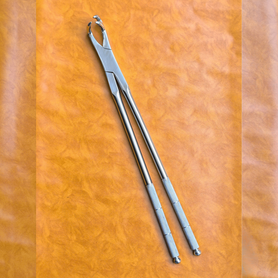 Three Prong Off Side 21" Equine Dental Forceps