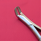Wolf Incisor Tooth Spreader Forceps