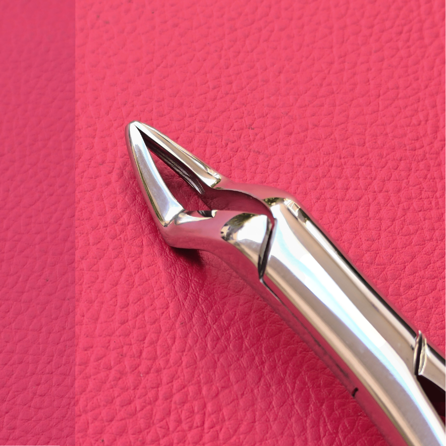 Offset Wolf Tooth Forceps 7″ Secondary image