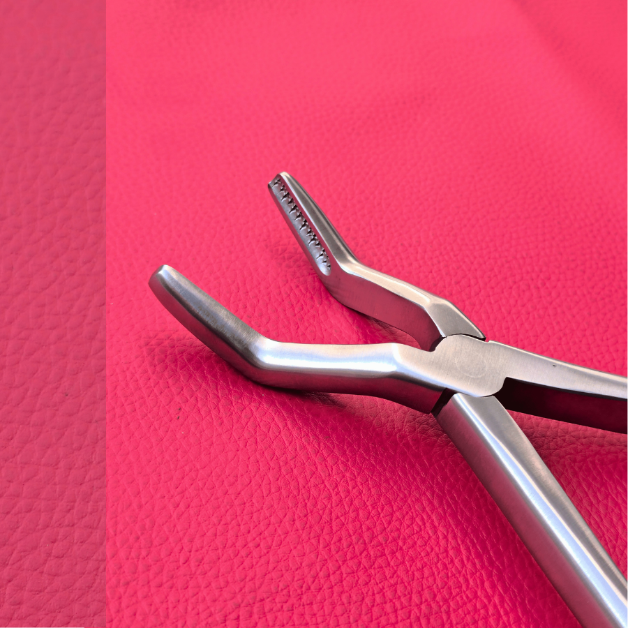 Wolf Teeth Forceps Large