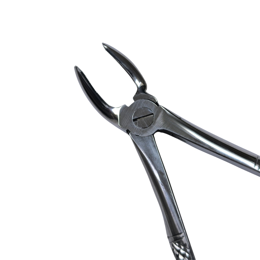 Dental Extraction Curved Forceps 7" Secondary image
