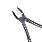 Dental Extraction Curved Forceps 7"