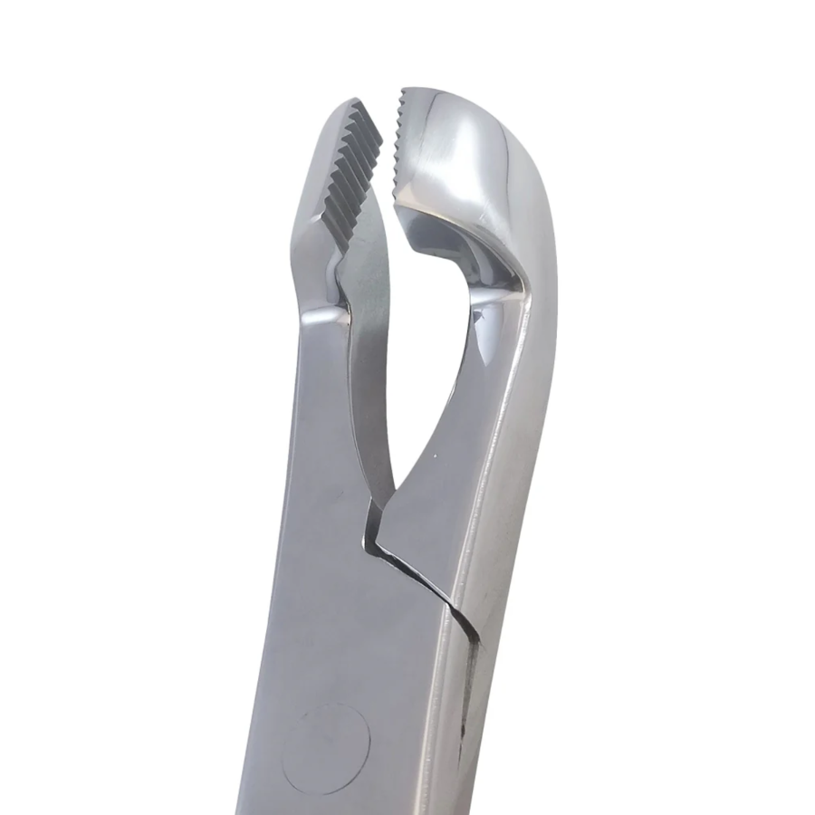 Hewson Style Equine Dental Forceps Secondary image