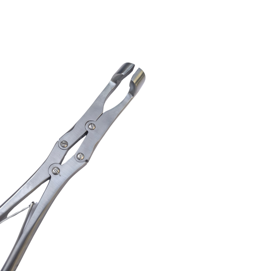 Serrated Jaw Molar Compound 12″ Forceps