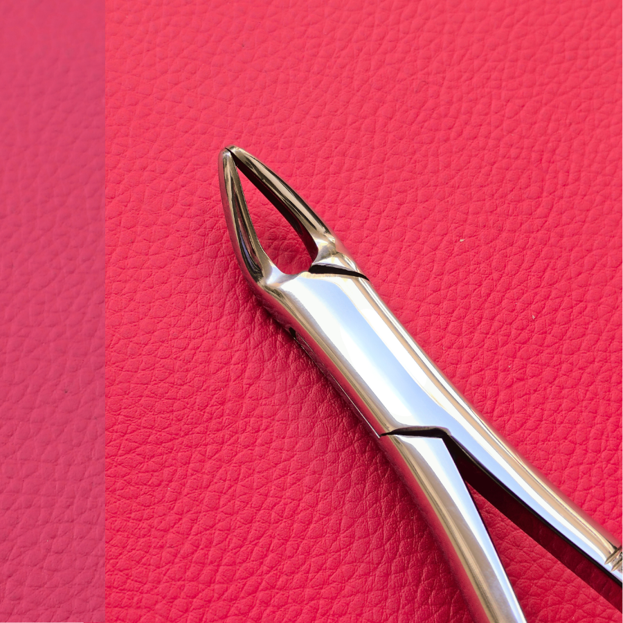 Curved Incisor Tooth Forceps 7″