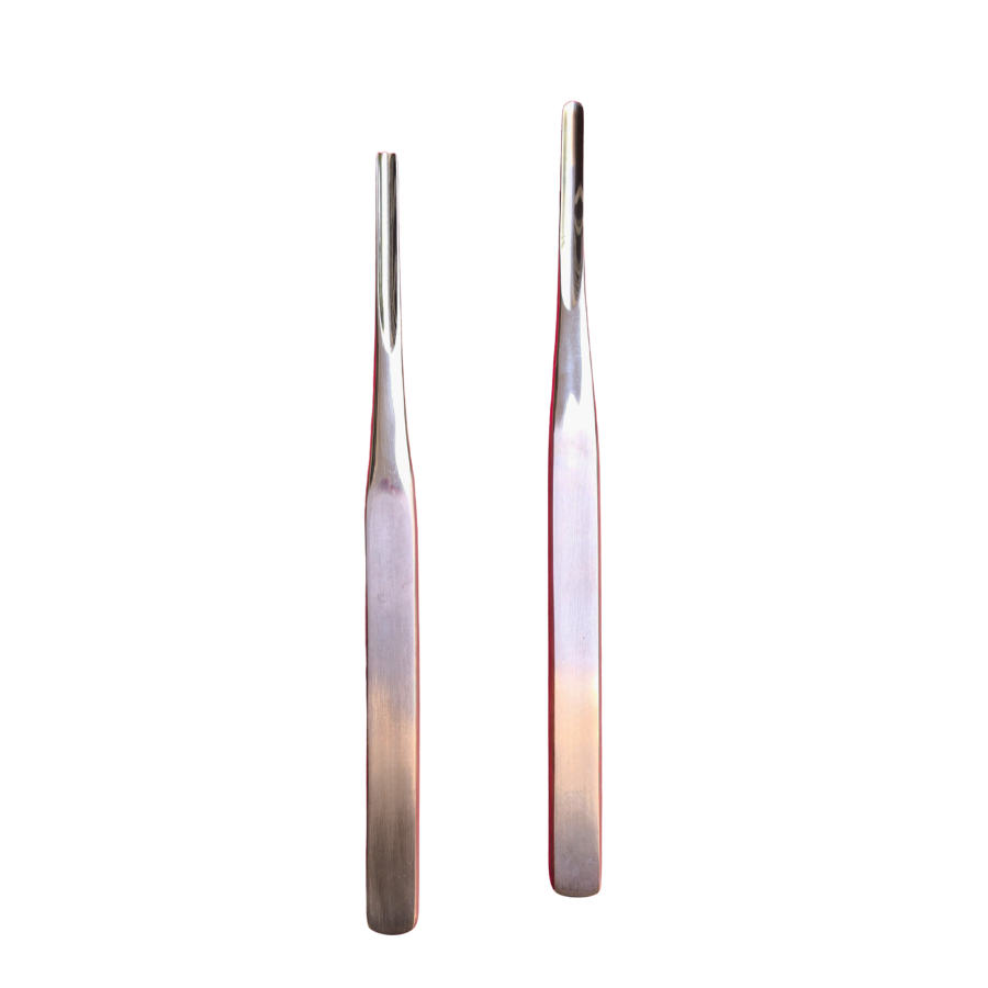 Equine Dental Elevators Set of 2