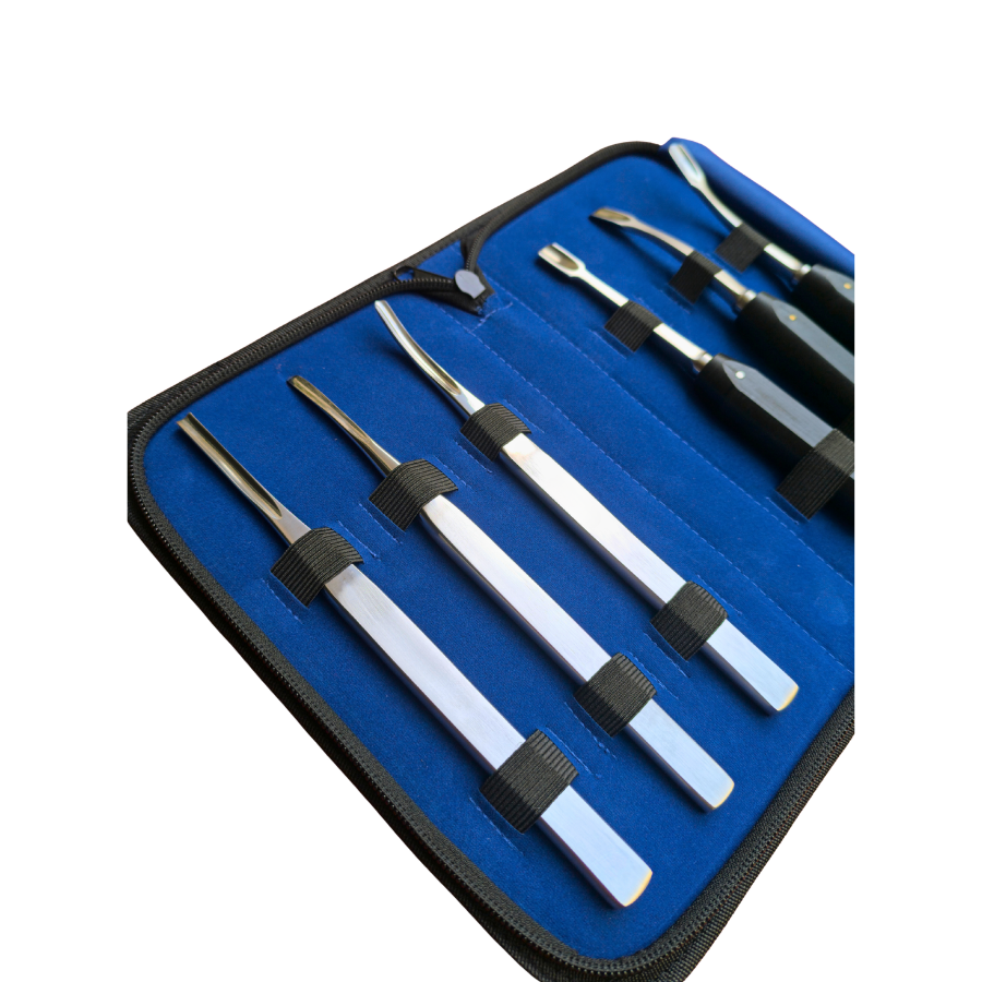 Extraction Dental Elevator Set