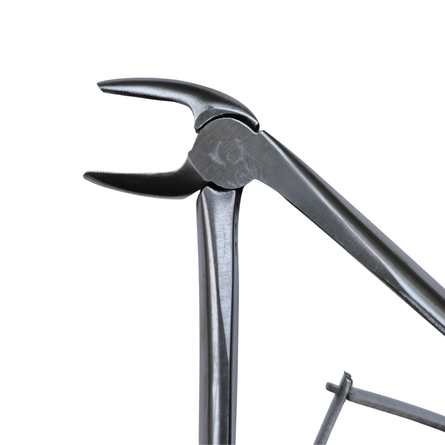 Dental Extraction 45° Curved Forceps 8" (Open) Secondary image