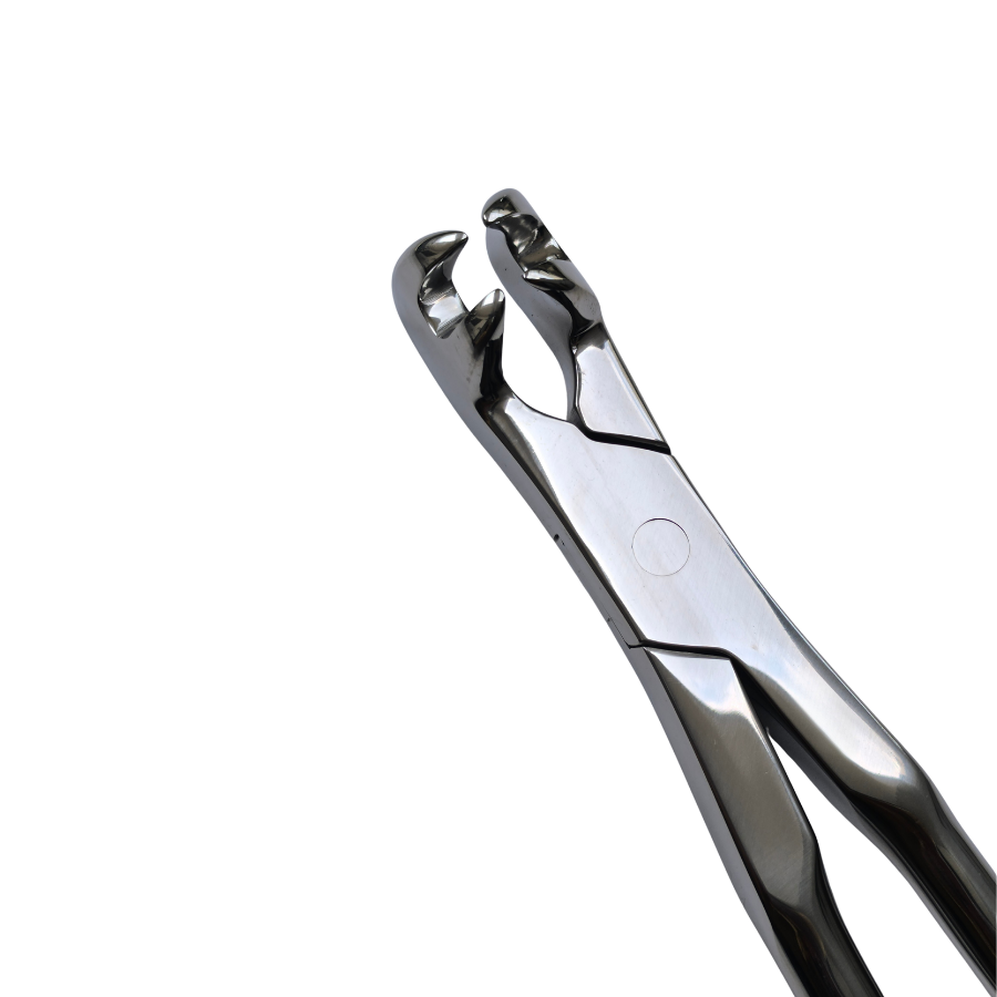4 Prong Pony Forceps 12"