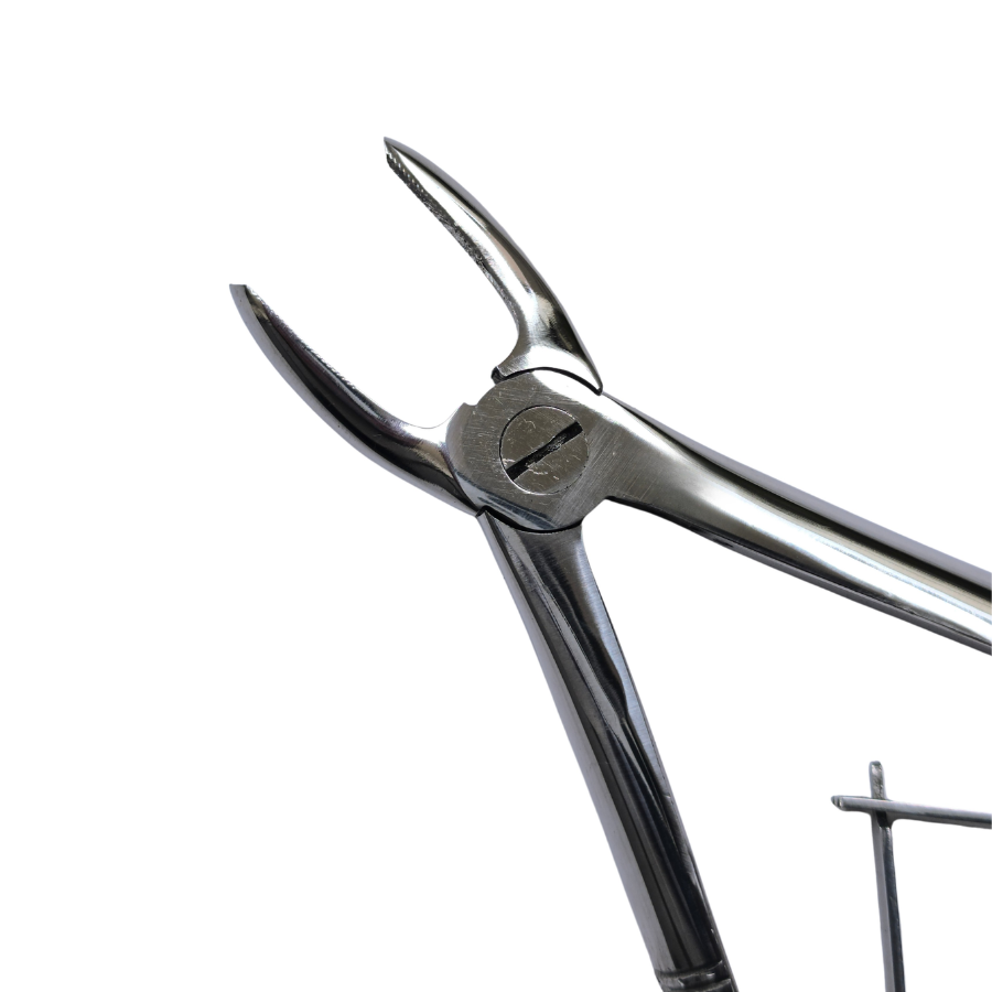 Dental Extraction Straight Forceps 7" (Open)