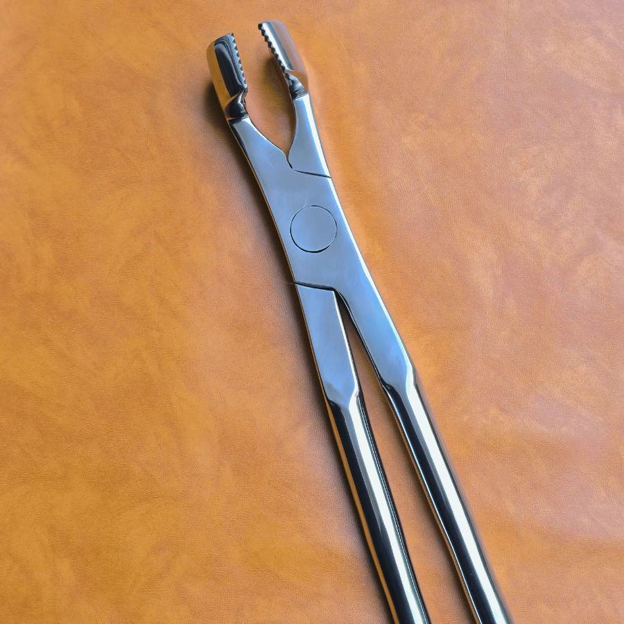 Molar Equine Dental Forceps 21"