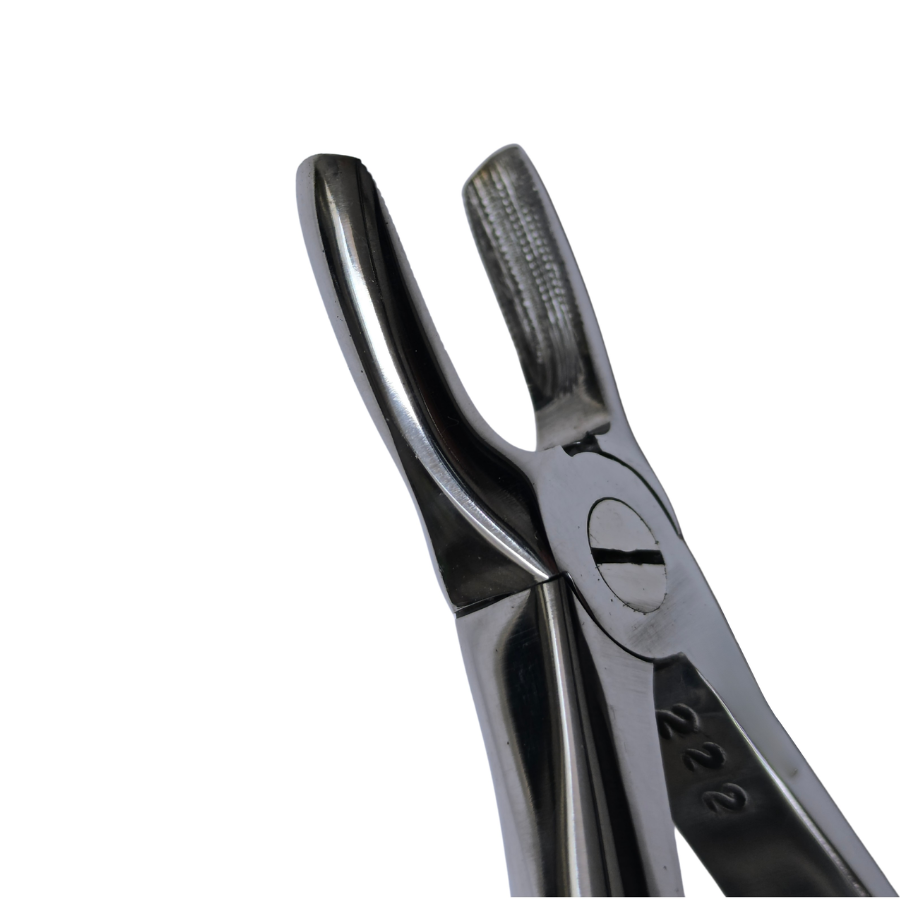 Dental Extraction Straight Forceps 7" (Open)
