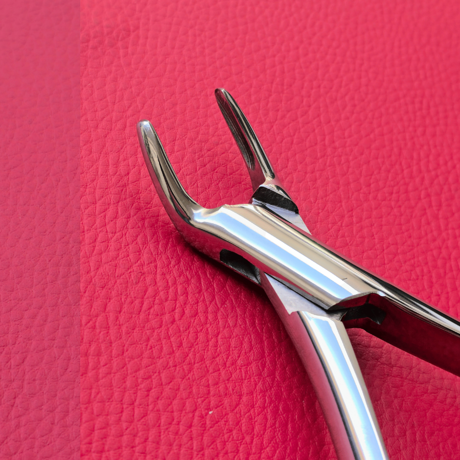 Curved Incisor Tooth Forceps 7″