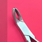 Wolf Tooth Forceps 9.5"